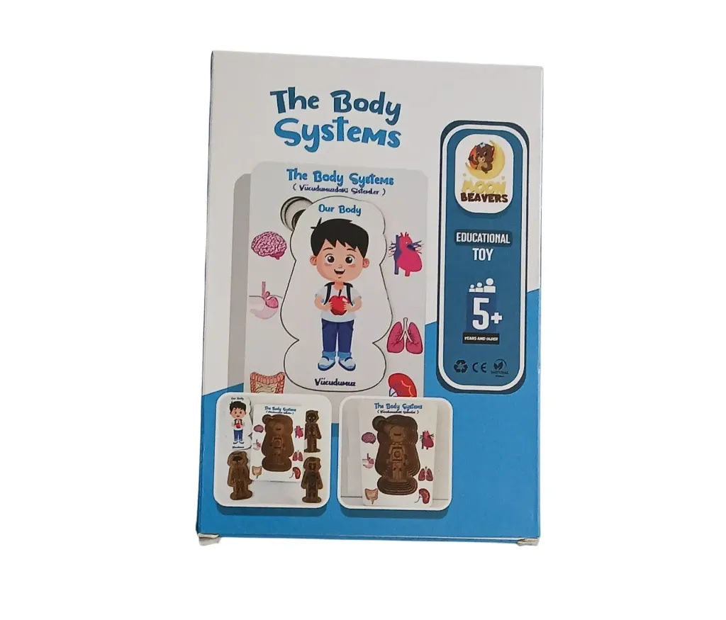 Body system boy +1 Sample 